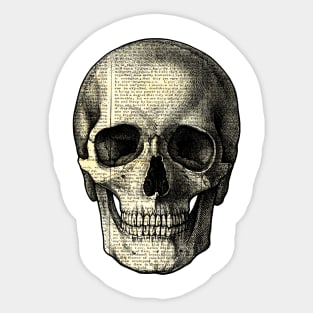 Vintage Skull Sticker